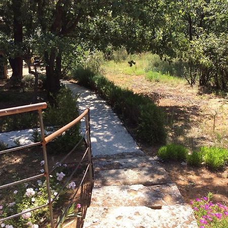 Le Bois De La Cour Vila Roussillon en Isere Exterior foto