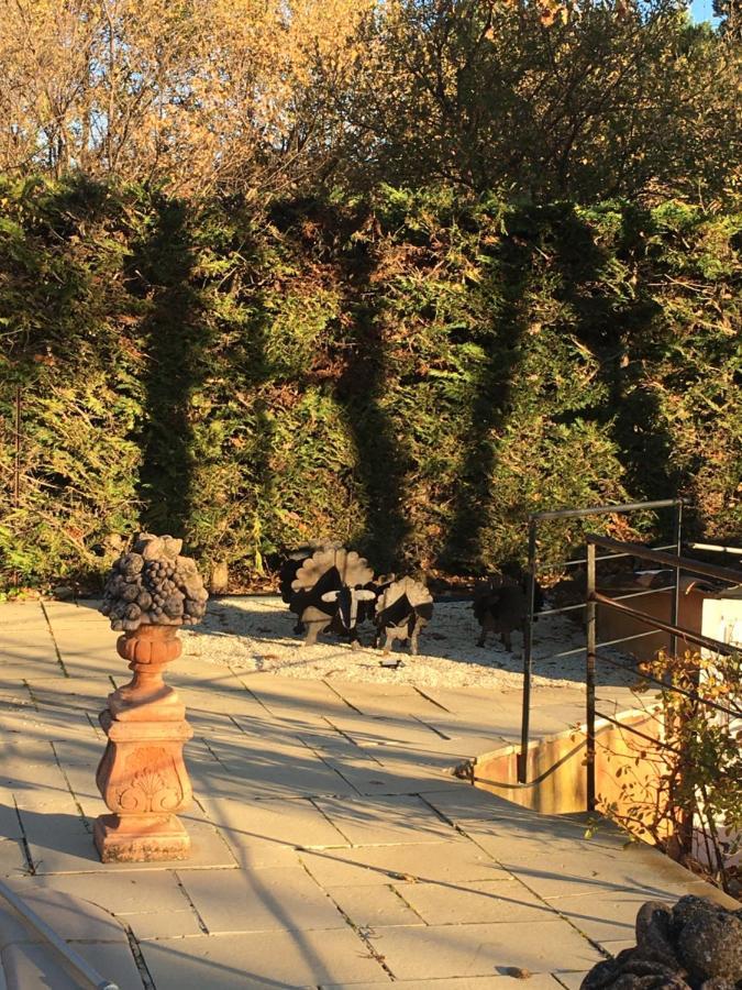 Le Bois De La Cour Vila Roussillon en Isere Exterior foto